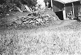 TGE01012025-026.jpg