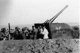 TGE01012025-036.jpg