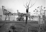 TGE01062026-002.jpg