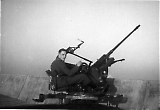 TGE01062026-005.jpg