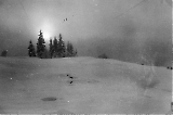 TGE01062026-103.jpg