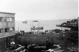 TGE04012025-002.jpg