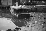 TGE05062022N-_005.jpg
