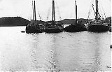 Filename=tge06092022-043.jpg
Filesize=291KiB
Dimensions=1100x711
Date added=Jan 03, 2023 tge06092022-043.jpg