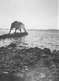 tge06092022-076.jpg