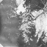 tge06092022-097.jpg
