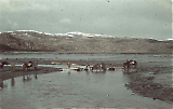 THGE06102026-005.jpg