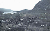 THGE06102026-013.jpg