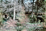 Filename=TGE12032017-076.jpg
Filesize=610KiB
Dimensions=1000x671
Date added=Aug 05, 2019 TGE12032017-076.jpg