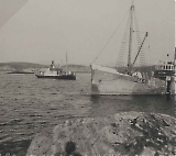 TGE014122019_Tarva-073.jpg