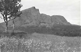 TGE15012023-023.jpg