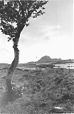 TGE15012023-025.jpg