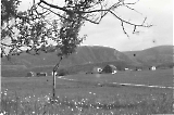 TGE15012023-034.jpg