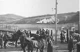 TGE15012023-054.jpg
