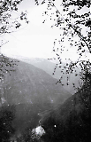 TGE15102022-235.jpg