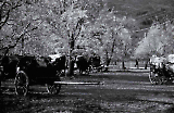 TGE15102022-239.jpg