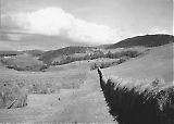TGE15102022-334.jpg