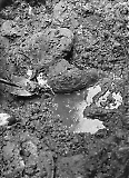 TGE23112025-062_28229.jpg
