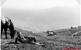 kav073.jpg