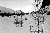 WH010513PZABW_029.jpg
