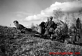 WH010513PZABW_063.jpg