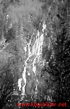 Filename=Bau-btl_-_273.jpg
Filesize=273KiB
Dimensions=584x900
Date added=Jun 19, 2009 Bau-btl_-_273.jpg