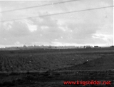 KG30beo-24.jpg