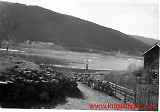 KG30beo-34.jpg