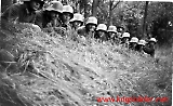 KG30beo-46.jpg