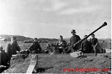KG30beo-61.jpg