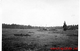 falkenberg038.jpg