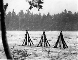 Feldb-026.jpg
