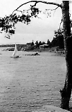 Feldb-065.jpg