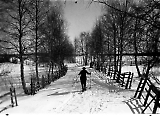 Feldb-068.jpg