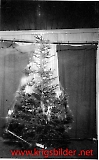 Filename=fl726-173.jpg
Filesize=172KiB
Dimensions=497x800
Date added=Jun 15, 2009 fl726-173.jpg