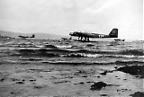 Filename=fly-132.jpg
Filesize=226KiB
Dimensions=1184x800
Date added=May 01, 2012 fly-132.jpg