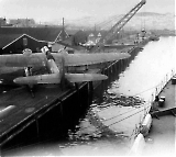 flyII001.jpg