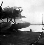 flyII005.jpg