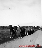 gbj-III__128.jpg