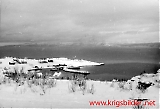 HKB982-II-196.jpg
