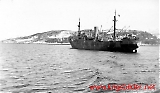 Karl Leonhard i Narvik