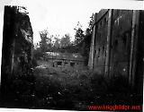 Filename=inf-rex076.jpg
Filesize=385KiB
Dimensions=1143x900
Date added=Jun 19, 2009 inf-rex076.jpg