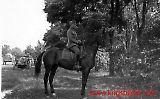 Filename=ir12-008.jpg
Filesize=172KiB
Dimensions=1000x620
Date added=Jun 30, 2009 ir12-008.jpg