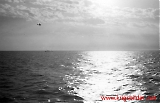 Filename=5k_kwl-181-009.jpg
Filesize=87KiB
Dimensions=1200x775
Date added=Mar 13, 2011 5k_kwl-181-009.jpg