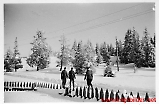 Filename=5k_kwl-181-336.jpg
Filesize=150KiB
Dimensions=1200x788
Date added=Mar 13, 2011 5k_kwl-181-336.jpg