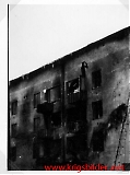 kmt-089.jpg