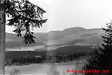 Lfl10032012-057.jpg