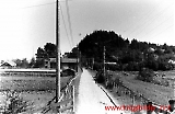 Lfl10032012-132.jpg