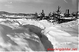 Lfl10032012-179.jpg