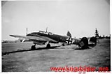 Lw-bormorn_-_023.jpg